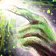 Empowered Touch