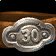 Level 30