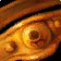 Sutarn's Ring