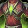 Robe of the Waking Nightmare