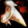 Incisor Fragment